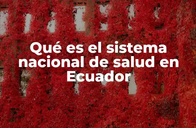Qué es el Sistema Nacional de Salud en Ecuador