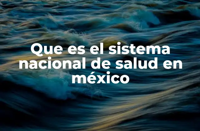 Que es el Sistema Nacional de Salud en México