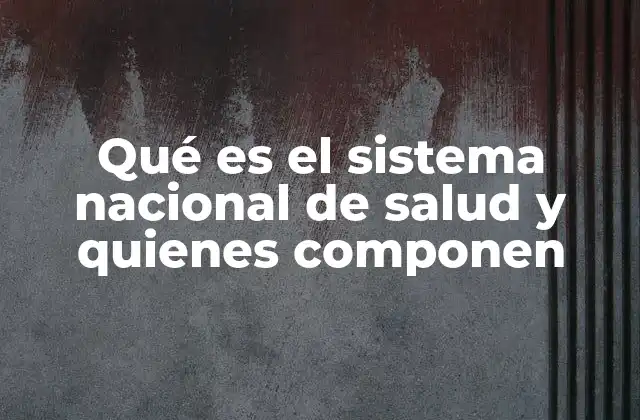 Qué es el Sistema Nacional de Salud y Quienes Componen