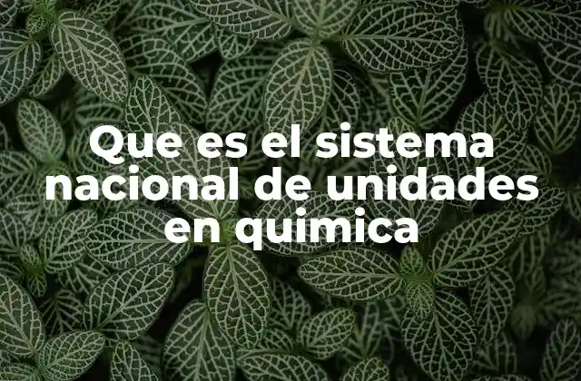 Que es el Sistema Nacional de Unidades en Quimica