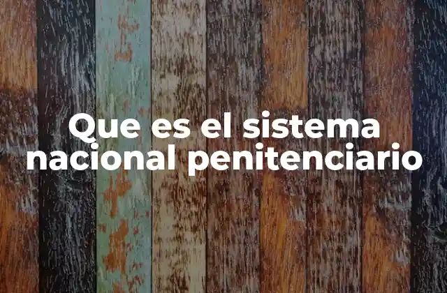 Que es el Sistema Nacional Penitenciario