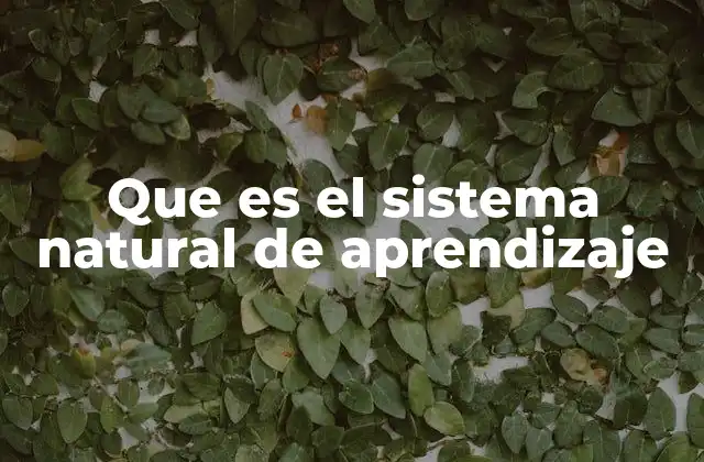 Que es el Sistema Natural de Aprendizaje