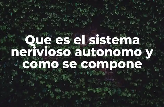 Que es el Sistema Nerivioso Autonomo y como Se Compone