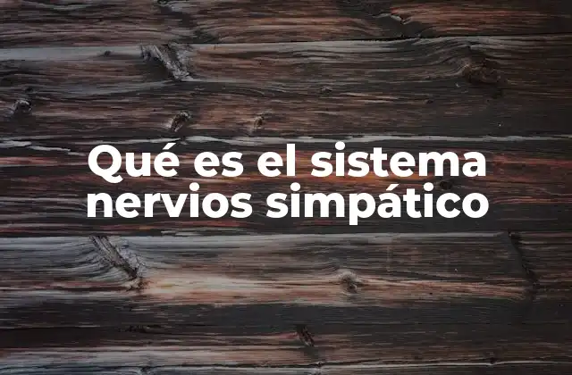 Qué es el Sistema Nervios Simpático