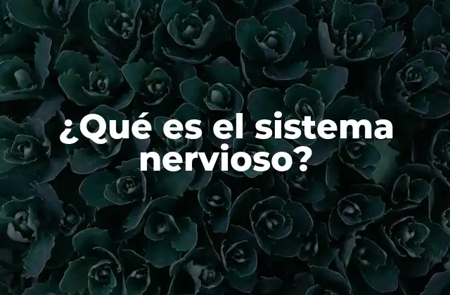 ¿qué es el Sistema Nervioso?