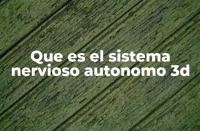 Que es el Sistema Nervioso Autonomo 3d 2 La importancia del sistema nervioso autónomo en la salud humana