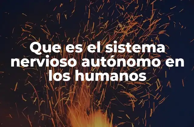 Que es el Sistema Nervioso Autónomo en los Humanos