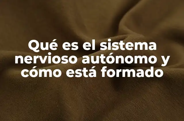 Qué es el Sistema Nervioso Autónomo y Cómo Está Formado