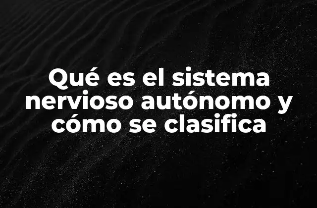 Qué es el Sistema Nervioso Autónomo y Cómo Se Clasifica