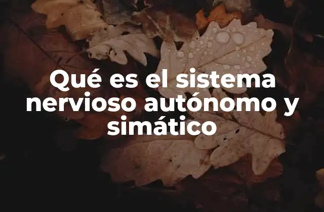 Qué es el Sistema Nervioso Autónomo y Simático