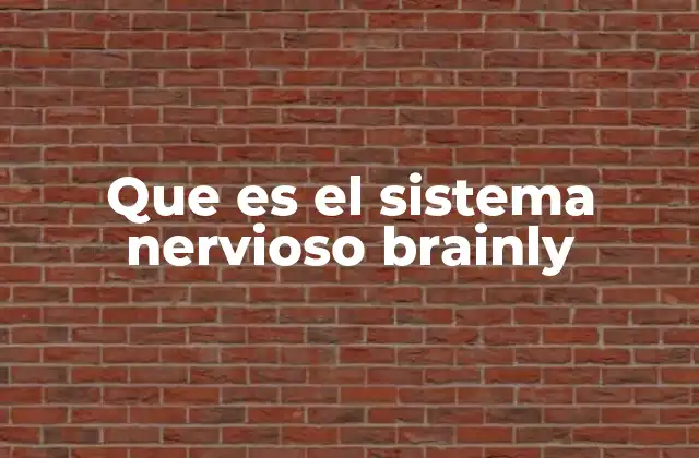 Que es el Sistema Nervioso Brainly