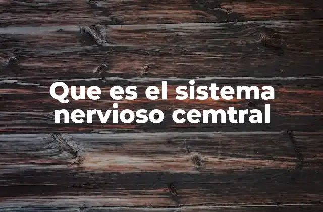 Que es el Sistema Nervioso Cemtral 2 La base de la comunicación interna del cuerpo