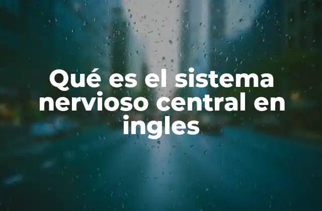 Qué es el Sistema Nervioso Central en Ingles
