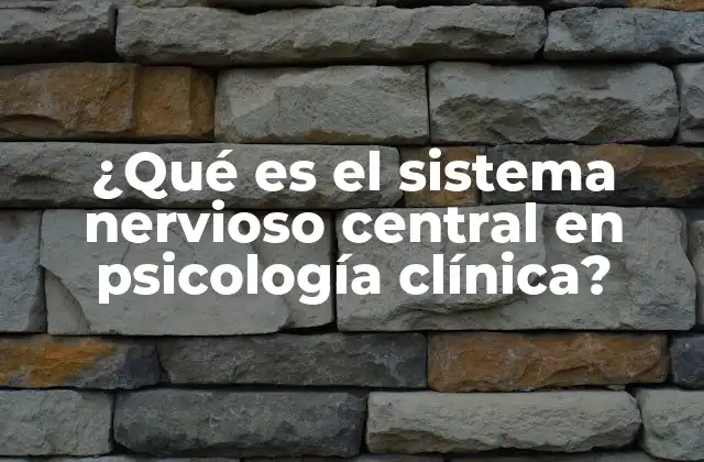 ¿qué es el Sistema Nervioso Central en Psicología Clínica?