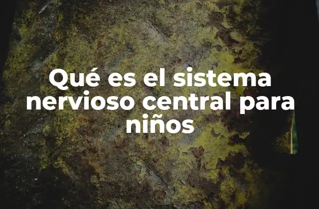Cómo el sistema nervioso central controla el cuerpo
