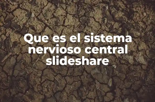 Que es el Sistema Nervioso Central Slideshare