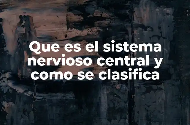 Que es el Sistema Nervioso Central y como Se Clasifica