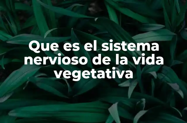 Que es el Sistema Nervioso de la Vida Vegetativa