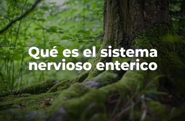 Qué es el Sistema Nervioso Enterico