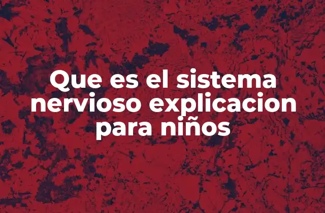 Que es el Sistema Nervioso Explicacion para Niños