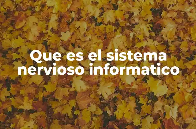 Que es el Sistema Nervioso Informatico