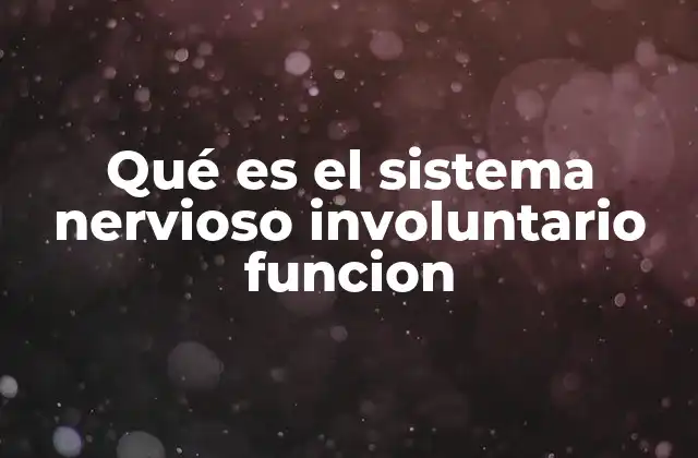 Qué es el Sistema Nervioso Involuntario Funcion