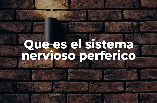 Que es el Sistema Nervioso Perferico