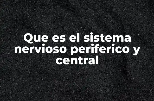 Que es el Sistema Nervioso Periferico y Central