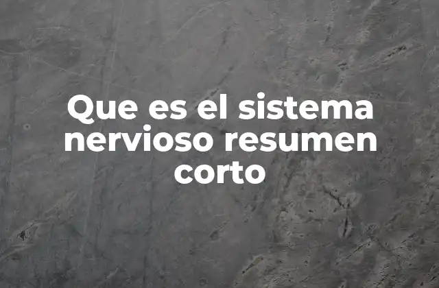 Componentes esenciales del sistema nervioso