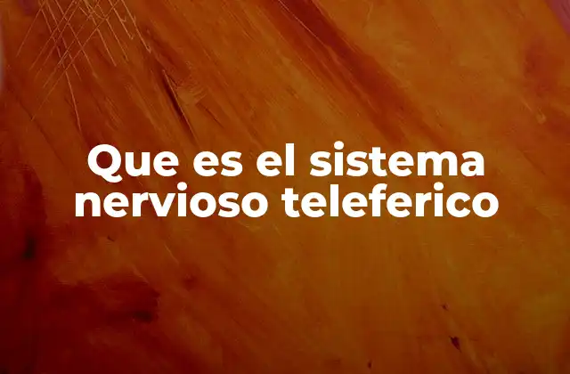 Que es el Sistema Nervioso Teleferico