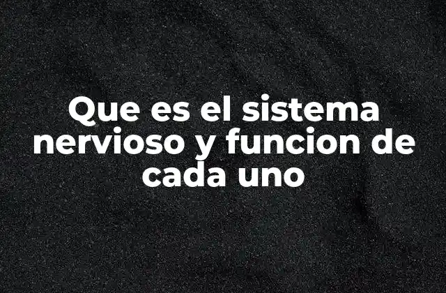 Que es el Sistema Nervioso y Funcion de Cada Uno