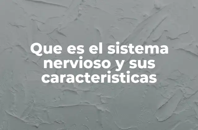 Que es el Sistema Nervioso y Sus Caracteristicas