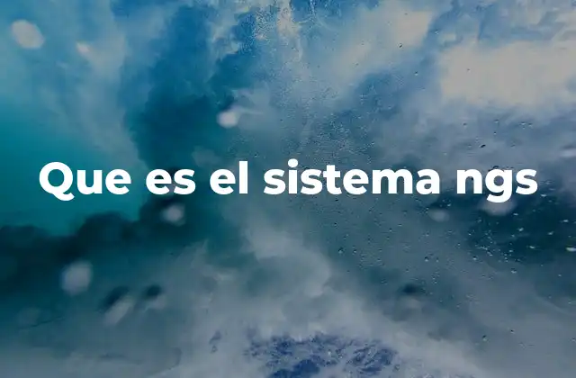 Que es el Sistema Ngs