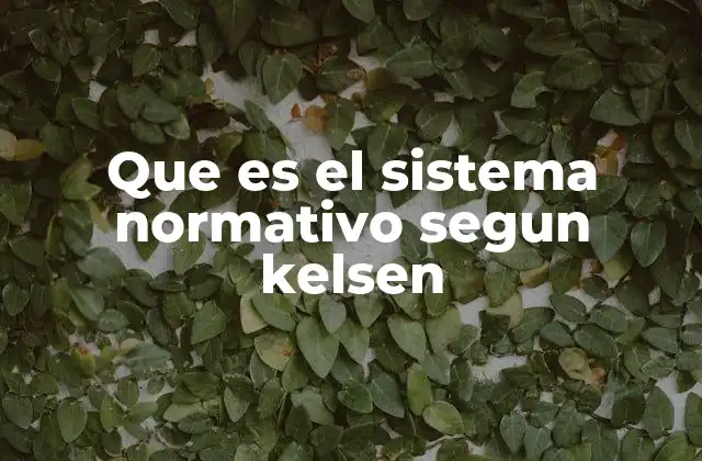 Que es el Sistema Normativo Segun Kelsen