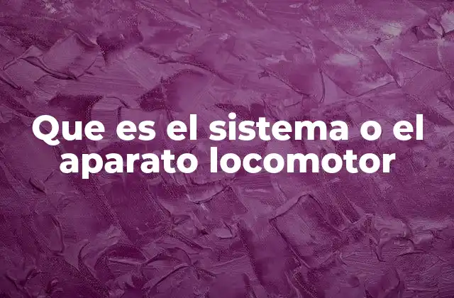 Que es el Sistema o el Aparato Locomotor