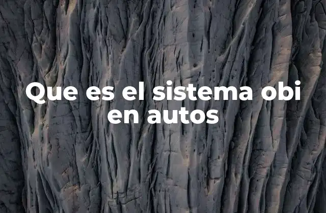 Que es el Sistema Obi en Autos