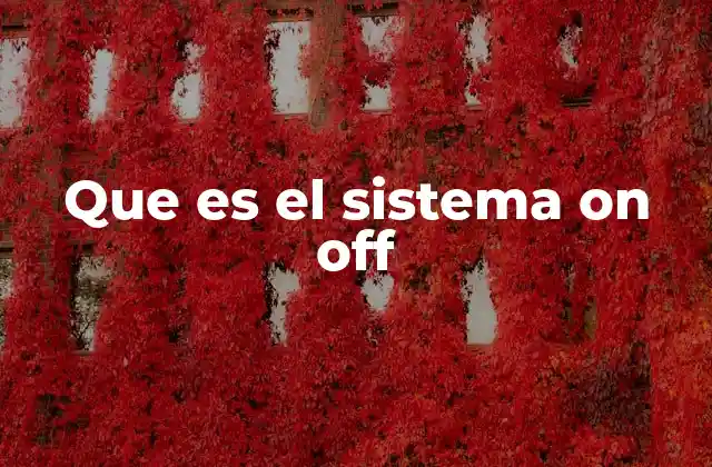 Que es el Sistema On Off