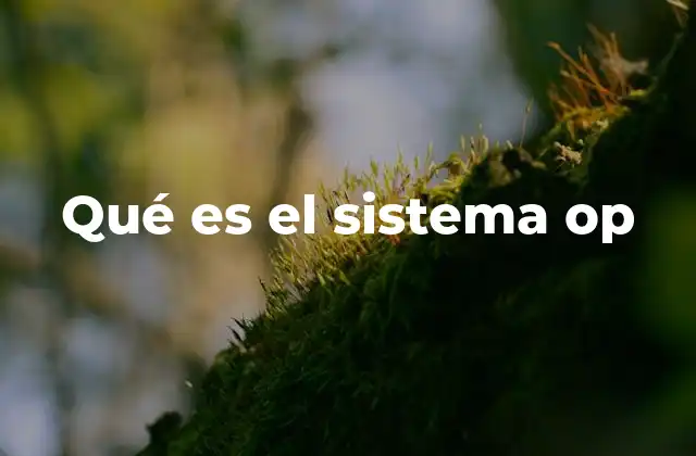 Qué es el Sistema Op