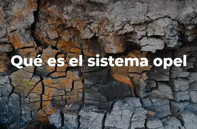 Qué es el Sistema Opel