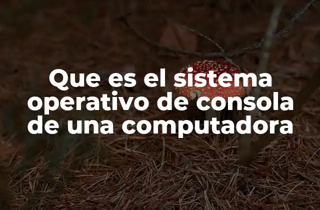 Que es el Sistema Operativo de Consola de una Computadora