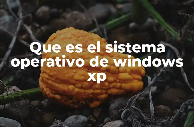 Que es el Sistema Operativo de Windows Xp 2 Evolución del sistema operativo antes de Windows XP