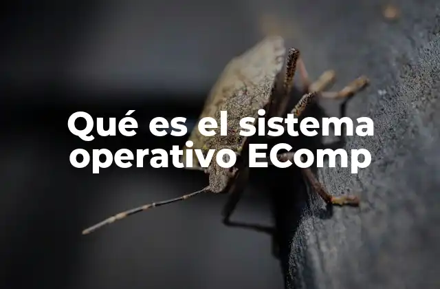 Qué es el Sistema Operativo Ecomp