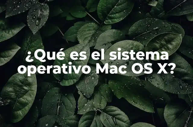 ¿qué es el Sistema Operativo Mac Os X?
