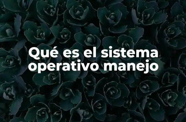 Qué es el Sistema Operativo Manejo