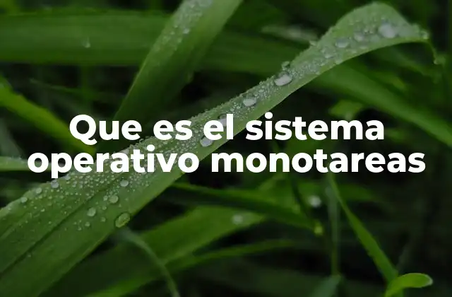 Que es el Sistema Operativo Monotareas