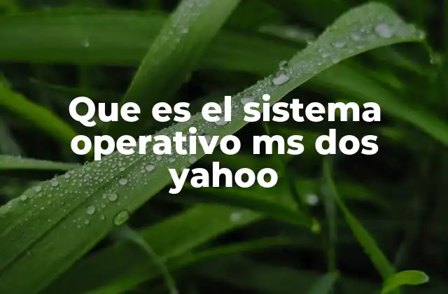 El papel del MS-DOS en la era de las primeras computadoras