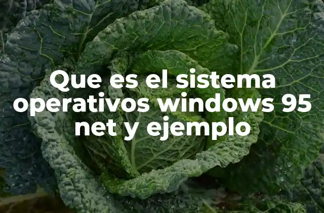 Que es el Sistema Operativos Windows 95 Net y Ejemplo