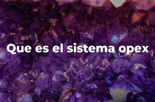 Que es el Sistema Opex