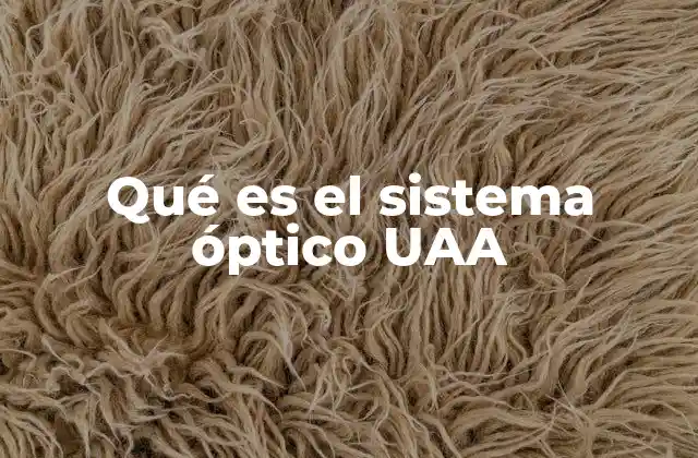 Qué es el Sistema Óptico Uaa