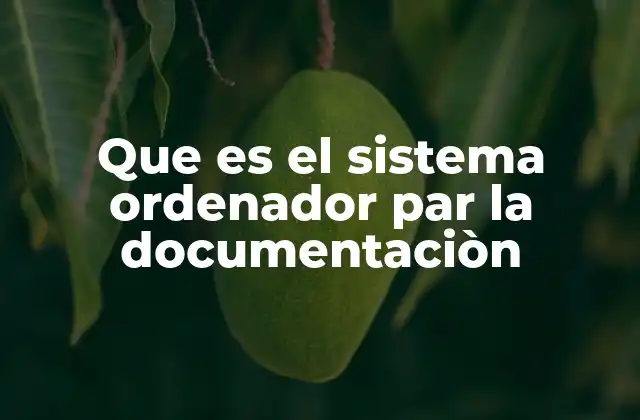 Que es el Sistema Ordenador Par la Documentaciòn
